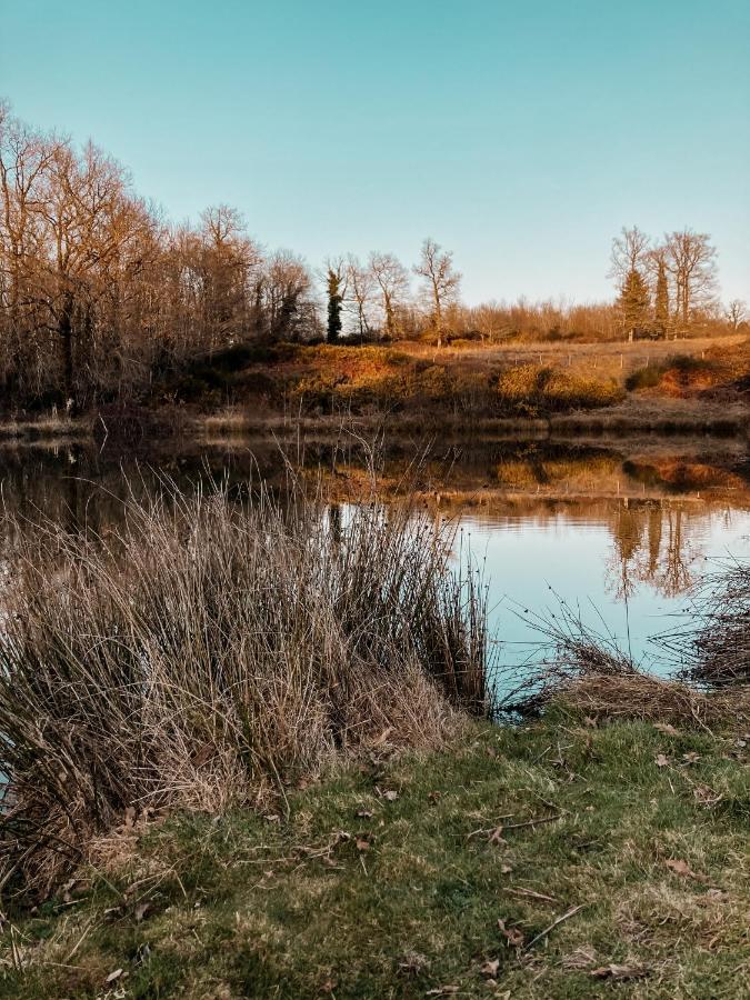 La Ferme Du Pont De Maumy, Cabane Au Bord De L'Etang Et Bain Nordique Busserolles Екстериор снимка