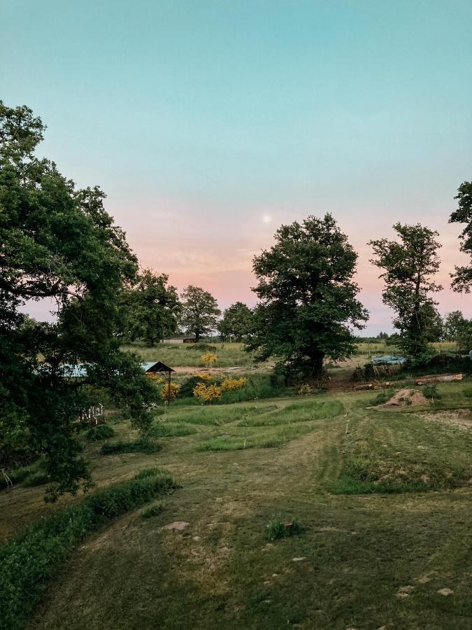 La Ferme Du Pont De Maumy, Cabane Au Bord De L'Etang Et Bain Nordique Busserolles Екстериор снимка