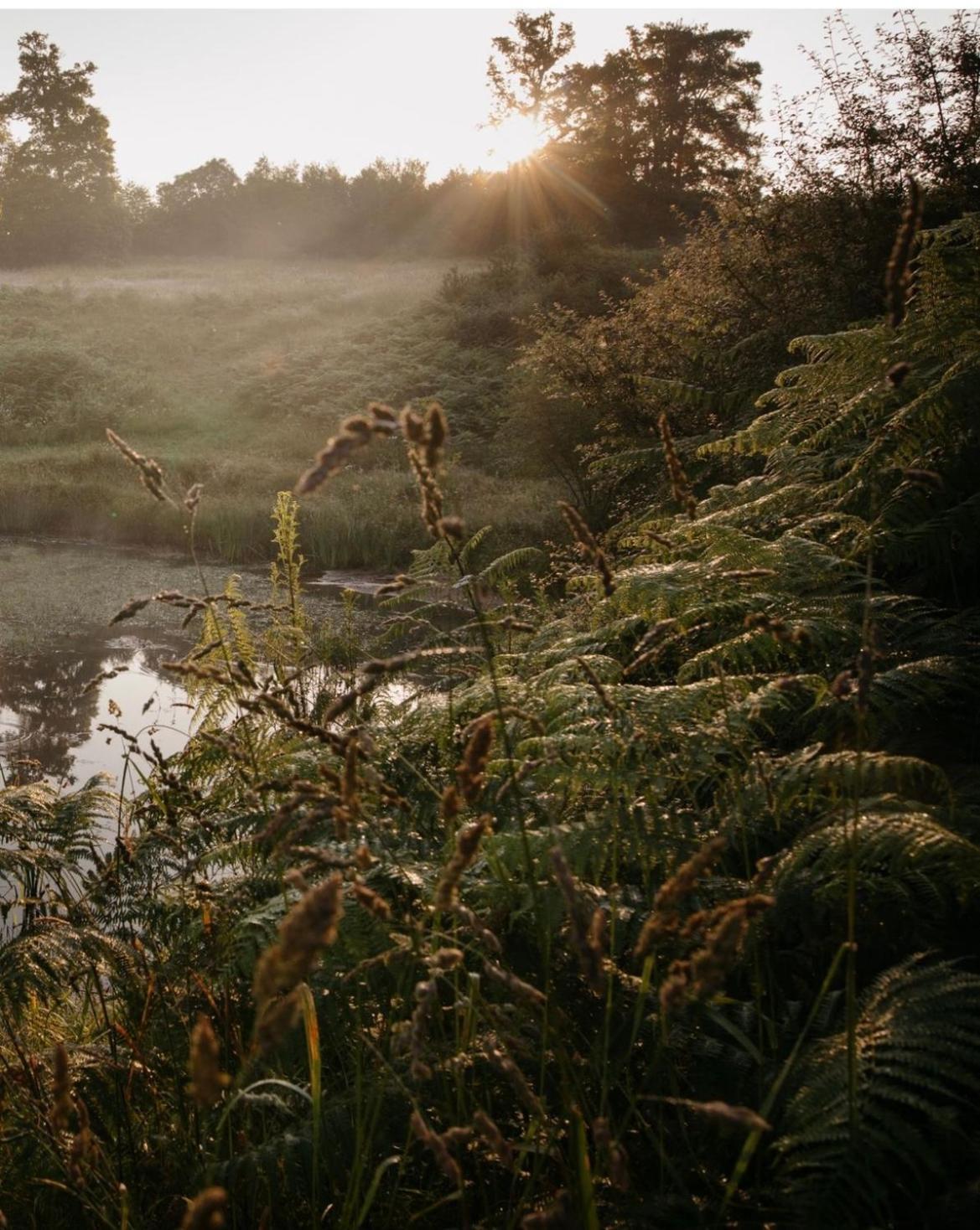 La Ferme Du Pont De Maumy, Cabane Au Bord De L'Etang Et Bain Nordique Busserolles Екстериор снимка