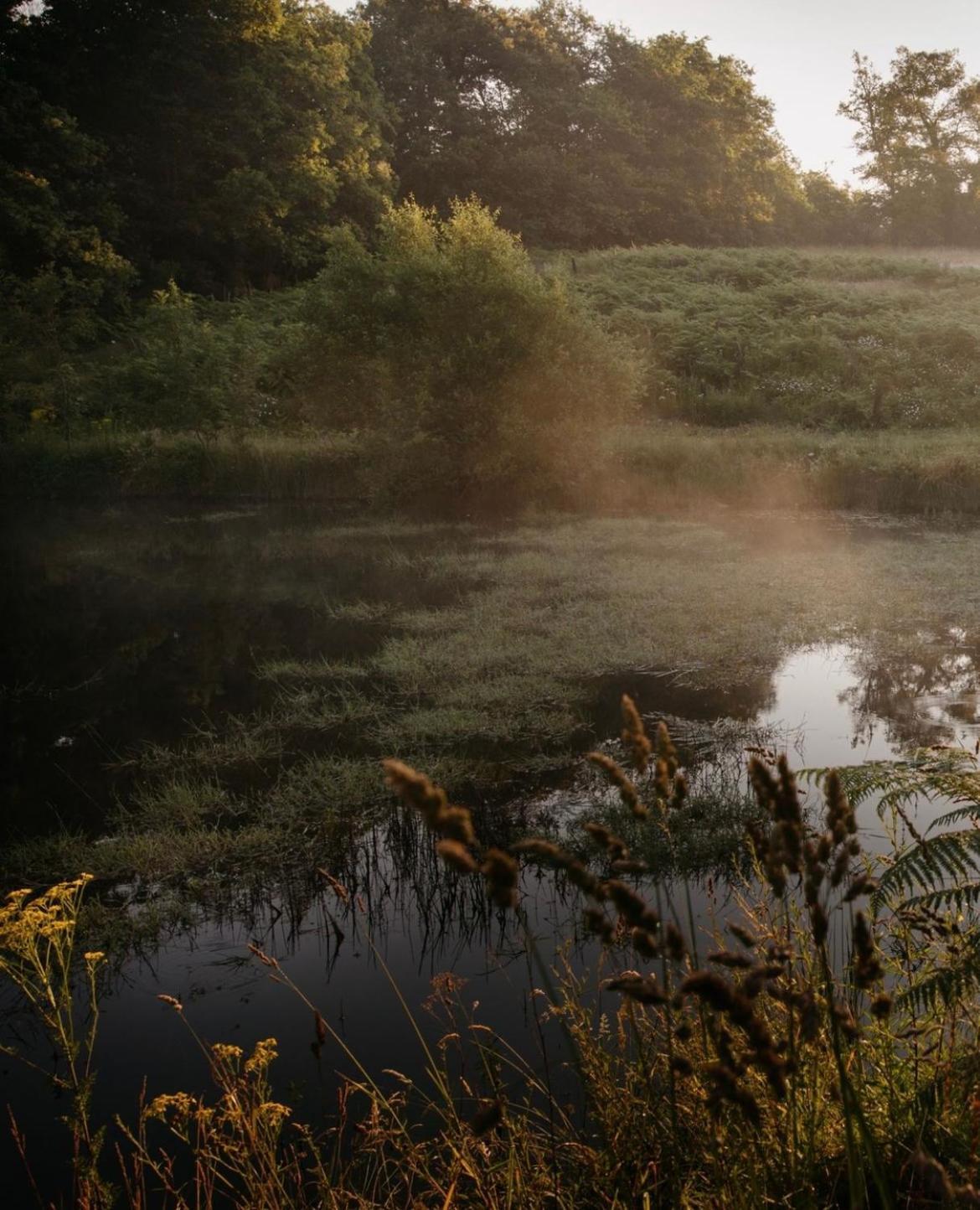 La Ferme Du Pont De Maumy, Cabane Au Bord De L'Etang Et Bain Nordique Busserolles Екстериор снимка